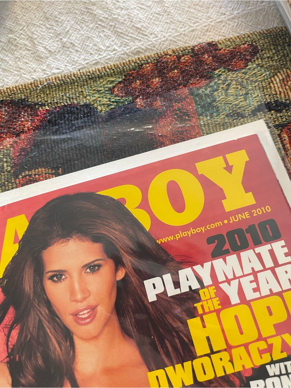 Vintage June 2010 Playboy magazine
